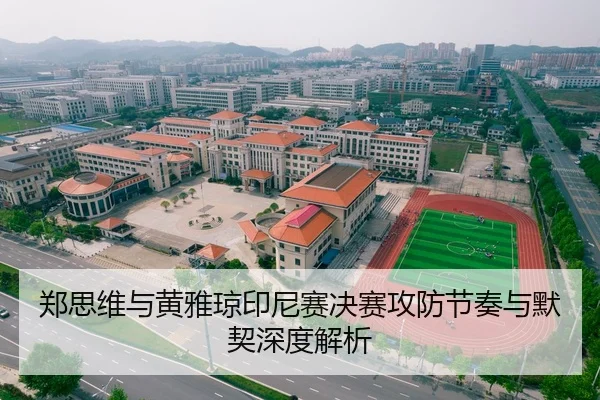 郑思维与黄雅琼印尼赛决赛攻防节奏与默契深度解析